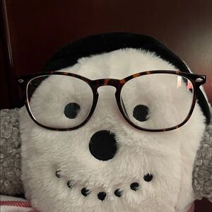 Ina Tortoiseshell Glasses